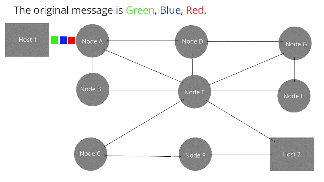 Packet Switch Network